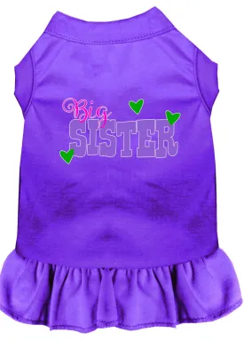 Big Sister Screen Print Dog Dress Purple Xs