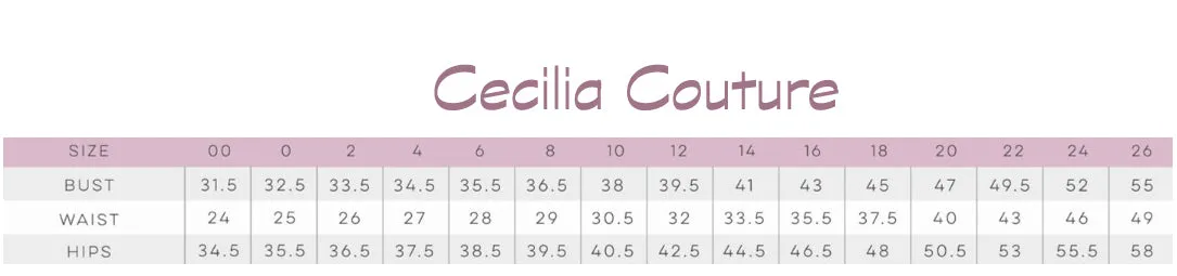 Cecilia Couture 2177 Pink Embroidered Lace Dress with A-Line Tulle Overskirt
